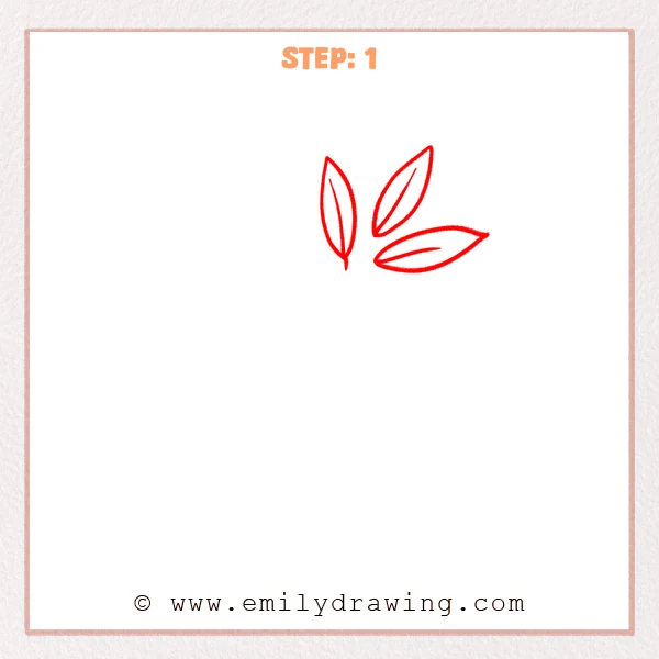 how to draw an olive branch - Step 1